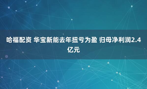 哈福配资 华宝新能去年扭亏为盈 归母净利润2.4亿元