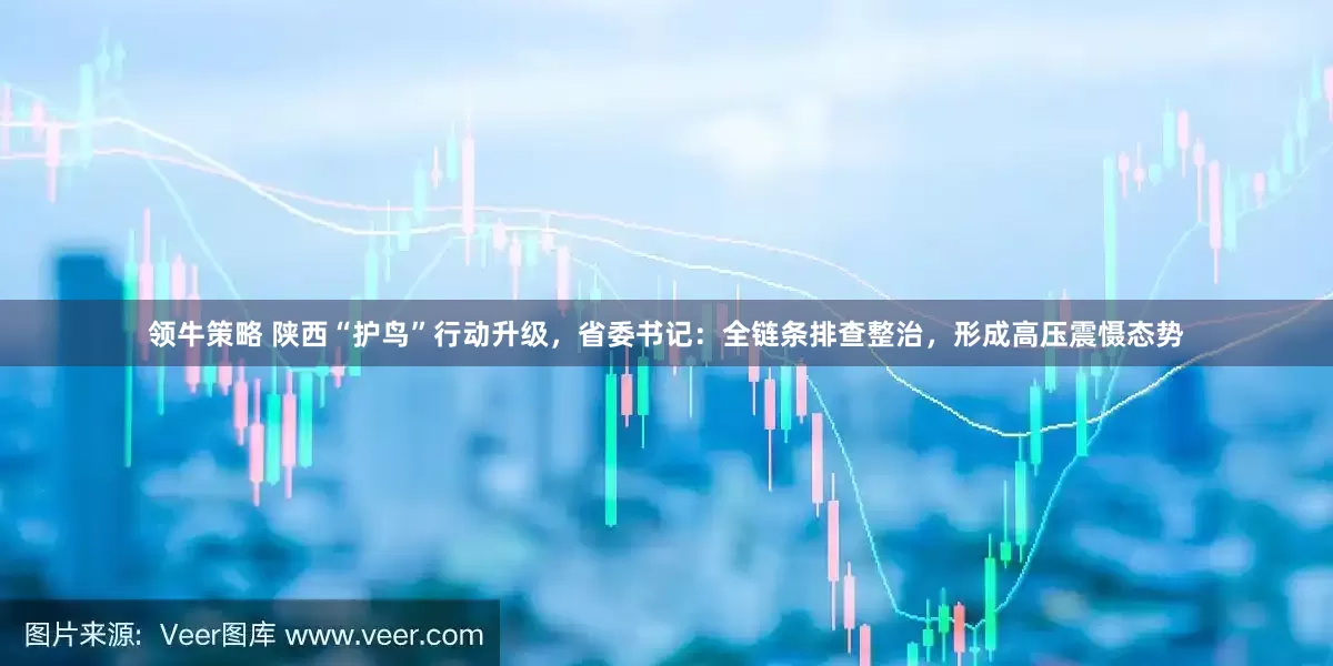 领牛策略 陕西“护鸟”行动升级，省委书记：全链条排查整治，形成高压震慑态势