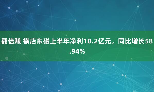 翻倍赚 横店东磁上半年净利10.2亿元，同比增长58.94%